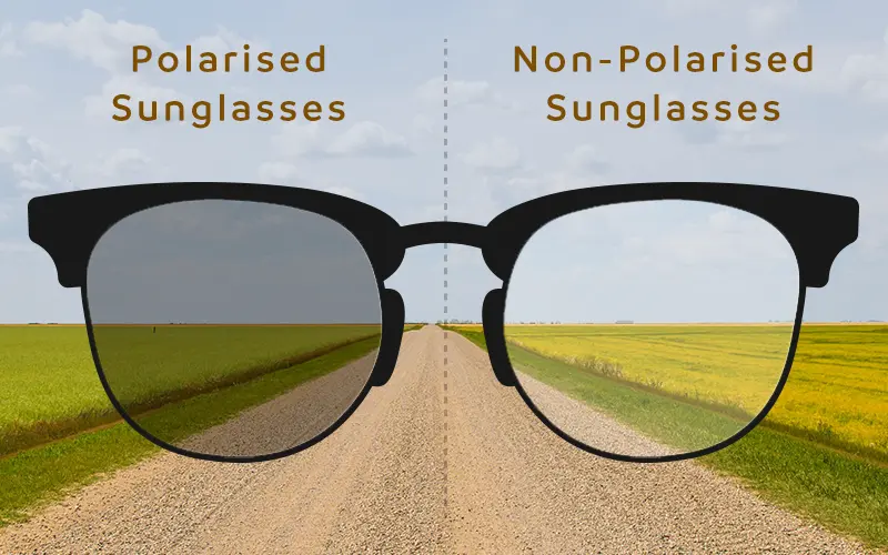 Polarized Glasses