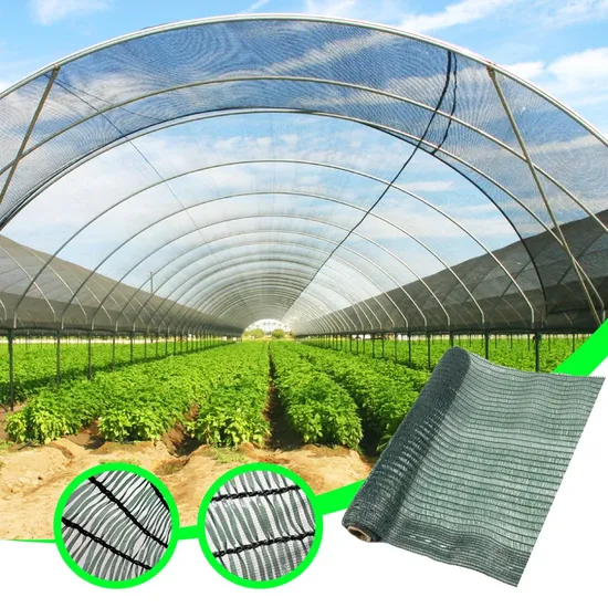 Agriculture Shade Nets for Greenhouse Farming
