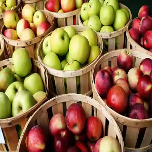 Apple Exporter 18kg Carton 80mm Grade A Europe