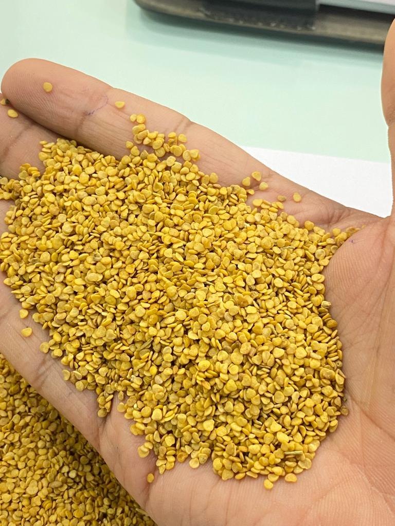 Ashwagandha Seeds