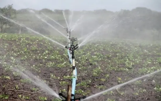 Automated Irrigation System for Precision Farming