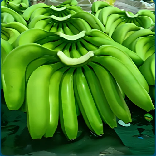 Banana Supplier 40 Days Shelf Life Export Europe Bulk