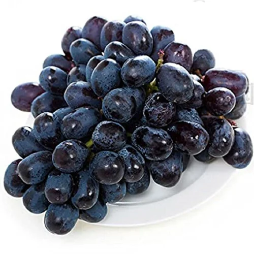 Black Grapes Supplier Premium Grade UAE Export