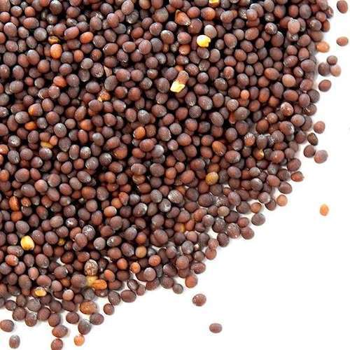 Brown Mustard Seeds Export Quality