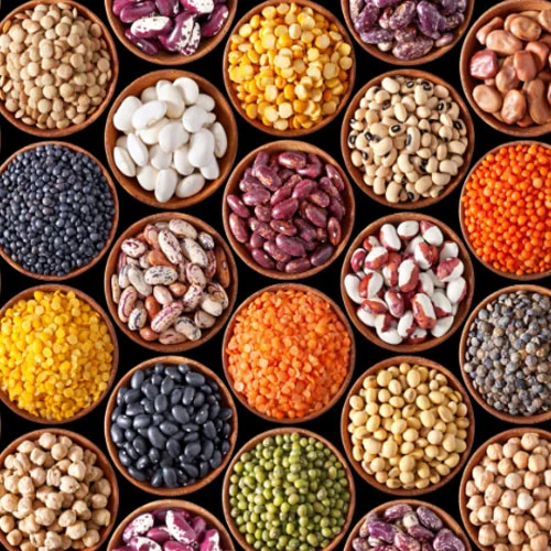 Bulk Lentils Supplier Global Buyers
