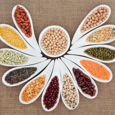 Bulk Pulses Exporter India Global Supply