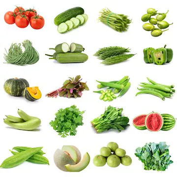 Bulk Vegetable Buyers Europe Looking For Export Supplier