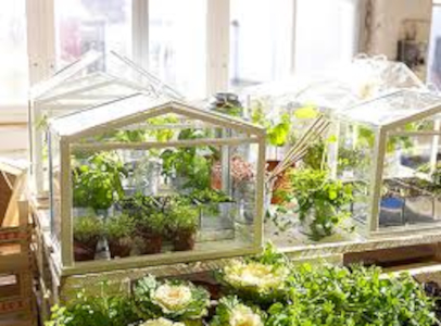 Compact Greenhouse for Year-Round Cultivation