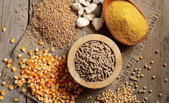 Complete Animal Feed