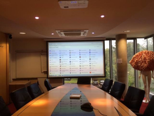Conference Room Projection System