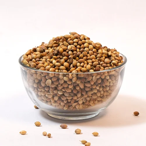 Coriander Seeds Bulk Exporter India 