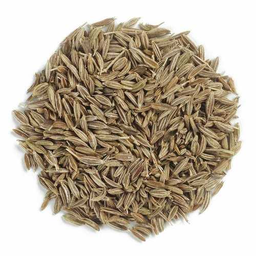 Cumin Seeds Exporter from India Bulk Supply