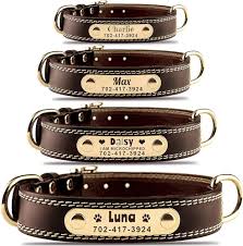Custom Leather Dog Collars