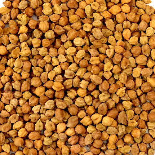 Desi Chickpeas Supplier Bulk