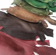 Exotic Reptile Skins Leather Craft Supply