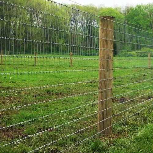 Farm Fencing (Barbed Wire)