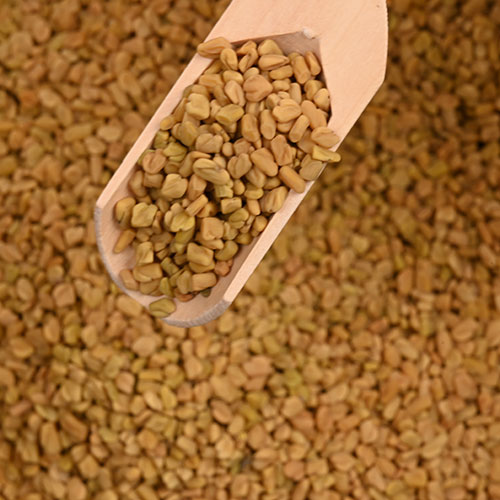 Fenugreek Seeds Bulk Exporter 