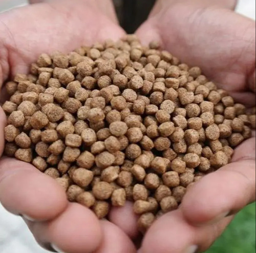 Fish Feed Pellets