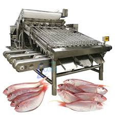 Fish Grader Machines