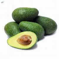 Fresh Avocado Supplier Hass Export Quality Europe Bulk