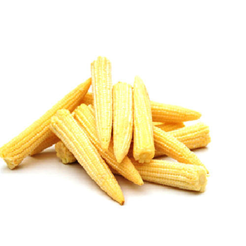 Fresh Baby Corn Exporter Premium Quality Europe Bulk