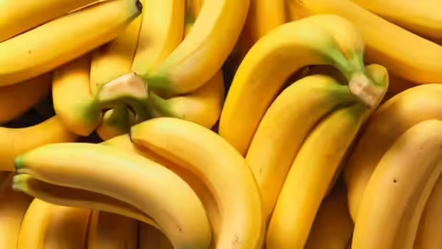 Fresh Banana Exporter 30 To 45 Days Shelf Life