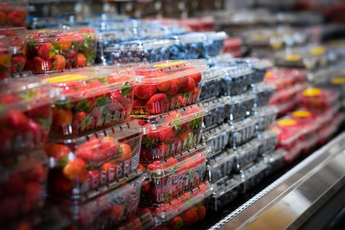 Fresh Berry Supplier High Shelf Life Export Packaging