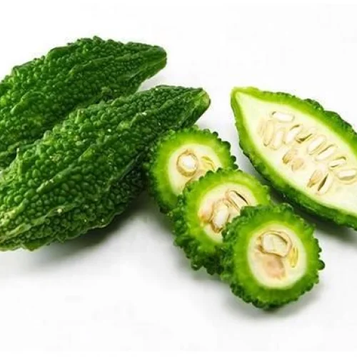 Fresh Bitter Gourd Supplier Export Quality UAE Bulk