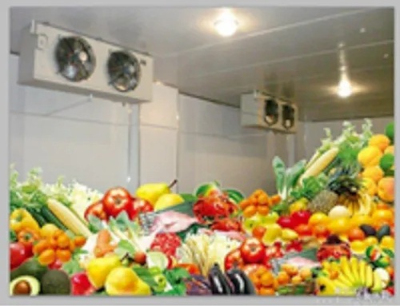 Fresh Fruits Supplier Reefer Container Export UAE Buyers