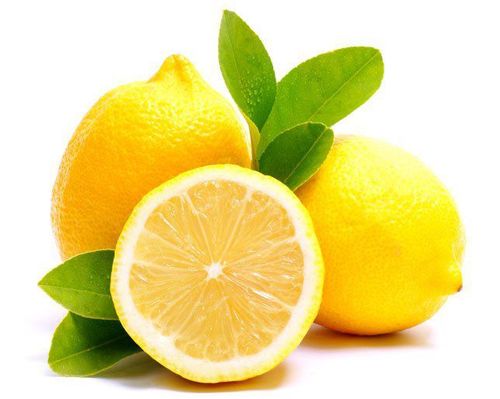 Fresh Lemon Exporter For Gulf Buyers Export Size Bulk