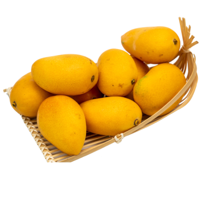 Fresh Mango Supplier For UAE Importers Reefer Container