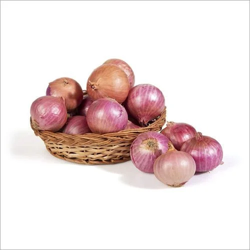 Fresh Onion Exporter 45mm Plus Size Bulk UAE Supply