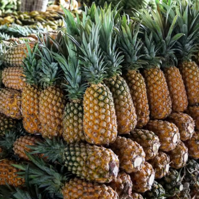 Fresh Pineapple Supplier For UAE Sweet Tropical Export