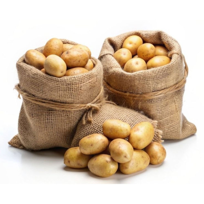 Fresh Potato Supplier Large Size 45mm Export Quality