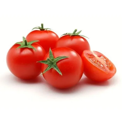 Fresh Tomato Exporter 5kg Carton Premium Grade UAE
