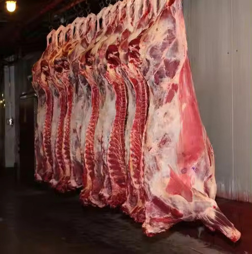 Frozen Sheep Meat Mutton Cuts Bulk Export Supplier