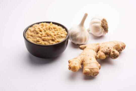 Ginger Garlic Paste Powder Blend