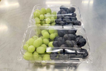 Grapes Supplier For Europe Importers Premium Bulk Export