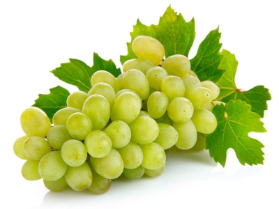 Green Grapes Exporter 18mm High Brix Europe Bulk