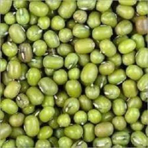 Green Lentils Size Graded Export Supplier