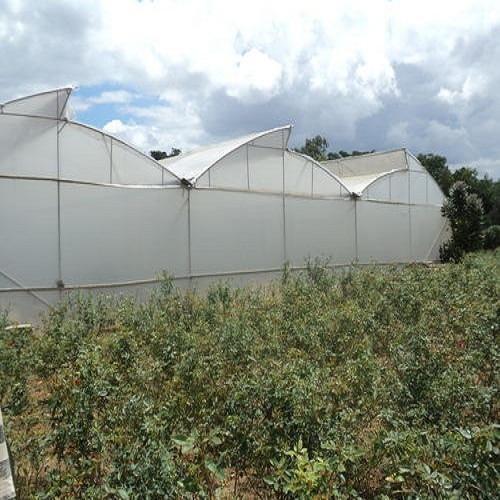Greenhouse Polyhouse Films for Protected Agriculture