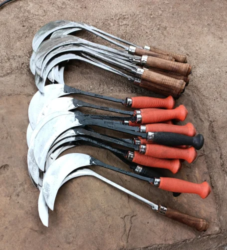 Harvesting Sickles