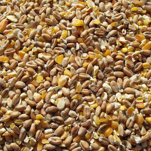 High-Protein Animal Feed