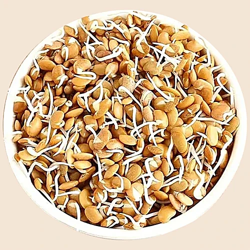 Horse Gram Supplier Export Bulk