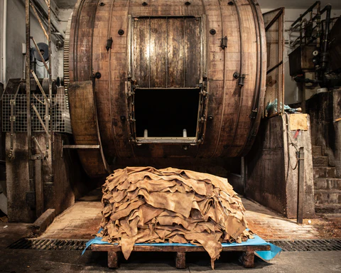 Industrial Grade Raw Hides for Tannery