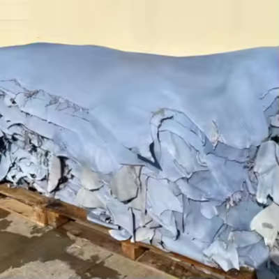 Kid Skins Raw Wet Blue Export Supplier