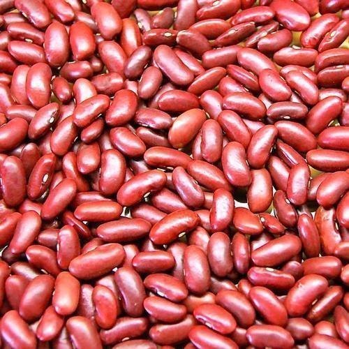 Kidney Beans Importer Demand Bulk Supplier