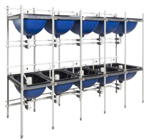 Larval Rearing Tanks