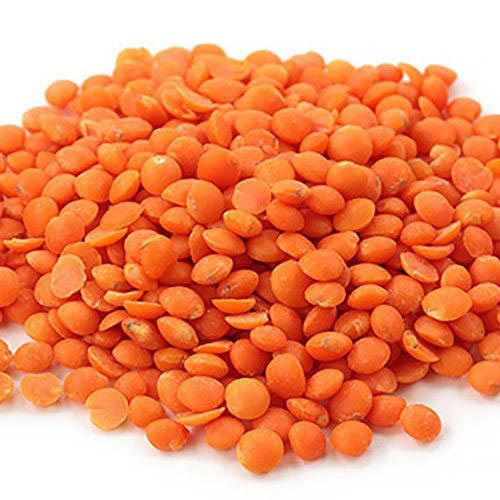 Lentils Moisture 12 Percent Export Supplier