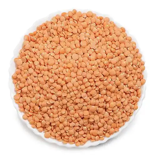 Masoor Dal Bulk Supplier